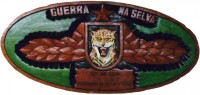 Quadro Brevê Guerra na Selva
