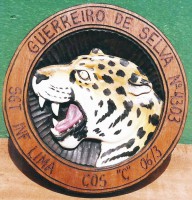 Quadro Moeda Onça Pintada