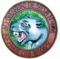 Quadro Moeda Pantera