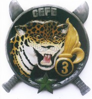 CEFE